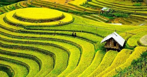 Cách Khởi Nghiệp Kiếm Tiền Bán Thời Gian Dành Cho Người Mới_chiến lược hiệu quả tiếp thị video